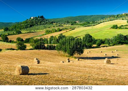 Haycock And Trees In Sunny Tuscan Countryside Near Massa Marittima, Italy