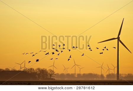 L'énergie éolienne et oiseaux qui volent au lever du soleil