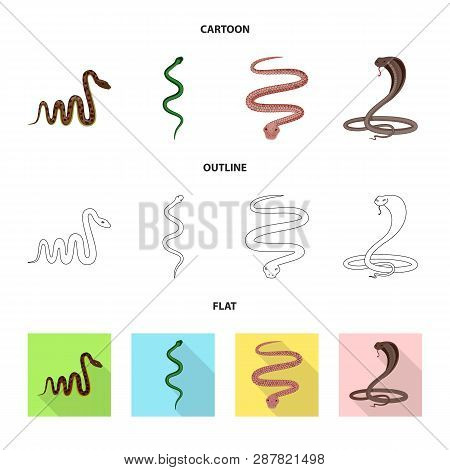 Vector Design Of Mammal And Danger Symbol. Set Of Mammal And Medicine Stock Vector Illustration.