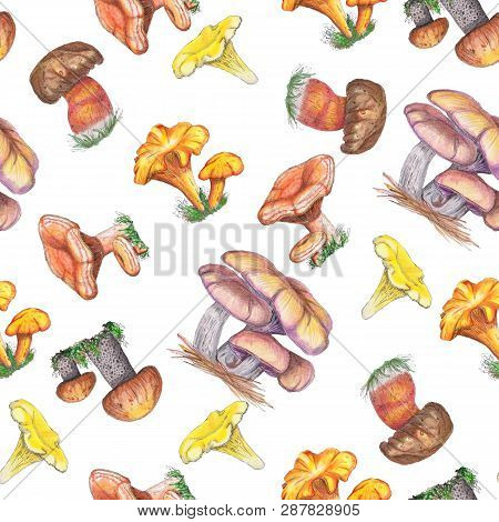 Watercolor Seamless Pattern With Mushrooms.