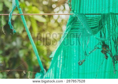 The Old Green Sun Protection Mesh And Lack. Can Not Prevent Sunlight.