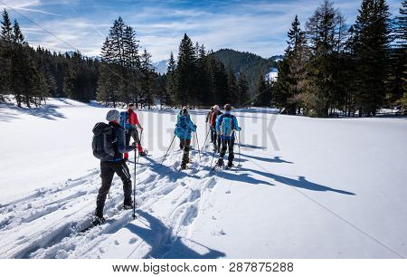 Group Of Adults Snowshoeing Thruogh A Forest On Snowy Plateau Kaiserau With Mountain Rottenmanner Ta