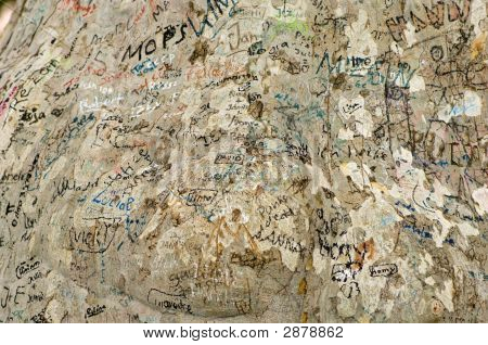 Graffiti