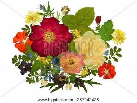 Bouquet Of Dried Pressed Flowers Isolated On White Background. For Use In Floristics, Scrapbooking A