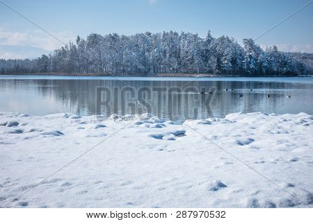 The Lake Osterseen Bavaria Germany winter scenery