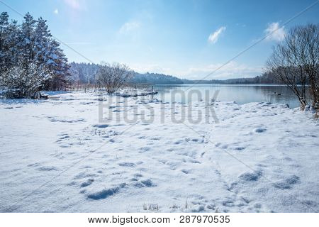 The Lake Osterseen Bavaria Germany winter scenery