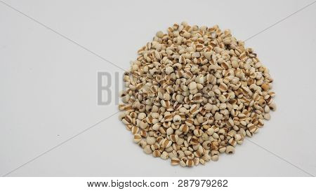 Job's Tears, Also Known As Adlay And Coix On White Background. Popular In Asian Cultures As A Food S