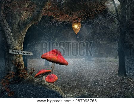 Welcome To The Foggy Forest - 3d Illustration