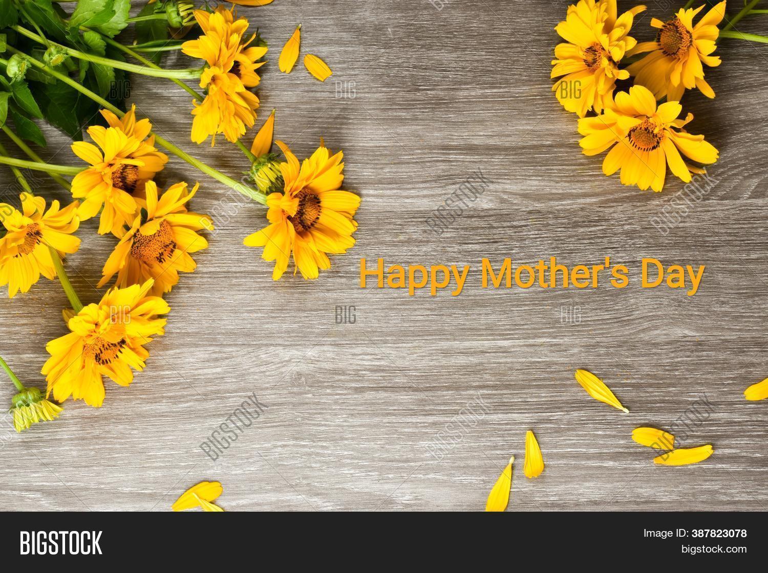 Yellow Daisies Image & Photo (Free Trial) Bigstock