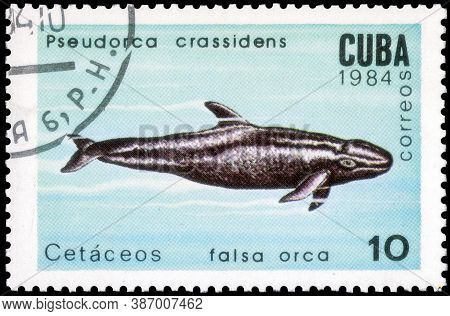 Saint Petersburg, Russia - September 18, 2020: Postage Stamp Issued In The Cuba The Image Of The Fal