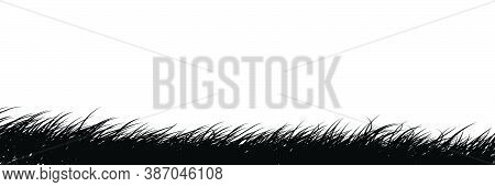 Silhouette Of Grass That Was Blown By The Wind Isolated On White Background. Vector Illustration Des