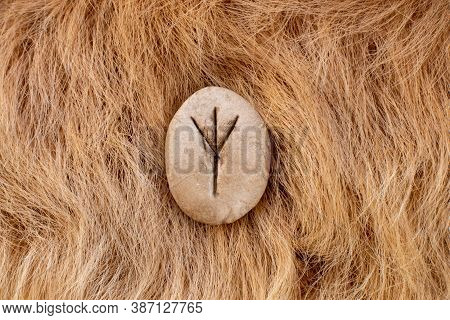 Algiz Nordic Stone Rune On Animal Fur. Letter Eolh Of The Viking Alphabet.
