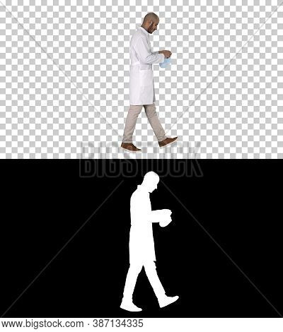 Arabic Doctor Walking And Putting Medical Cap On, Alpha Channel