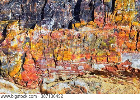 Petrified Wood Close Up, Colorful Shades Of Red, Orange, Purple, Yellow And Grey Example Of Fossiliz