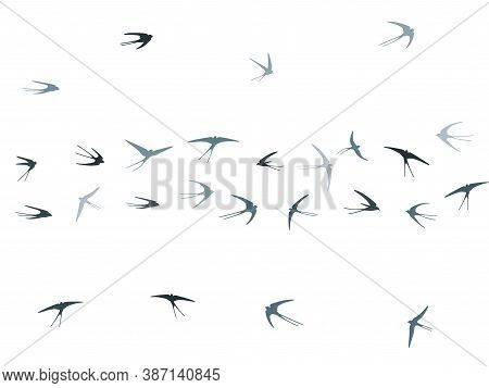 Flying Martlet Birds Silhouettes Vector Illustration. Nomadic Martlets Group Isolated On White. Rapi