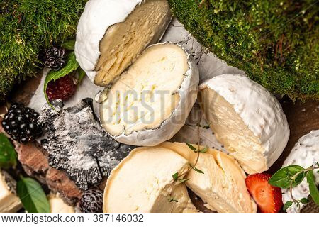 Set Of Hard Cheeses, French Goat Cheese Covered With Ash, Goat Cheeses Crottin De Chavignol, Home Ma
