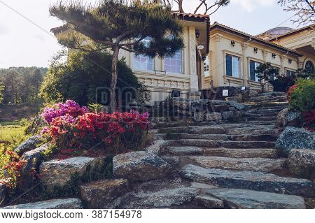 Pocheon, South Korea - 10 May, 2017: Granite Staicase Decorated With Rhododendron Bushes And Spruce 