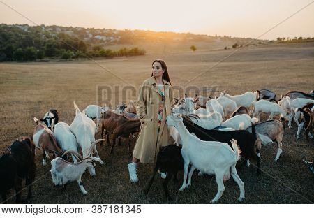 Handsome Female Shepherdess Stands In A Pasture Among A Herd Of Goats At Sunset.