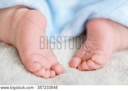 Tiny Bare Legs And Feet Of Newborn Covered With A Blue Soft Warm Blanket. Little Baby Sleeps On Whit