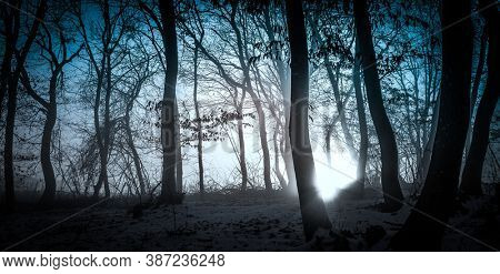 dark misty forest panorama fantasy halloween landscape