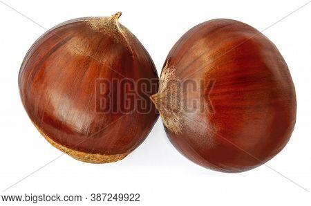 Two Sweet Chestnuts For Christmas  Isolated On White Background.  Macro