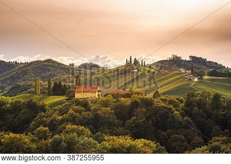 Vineyards In South Styria, Beginning Of Autumn. Austria Tuscany Like Spot.