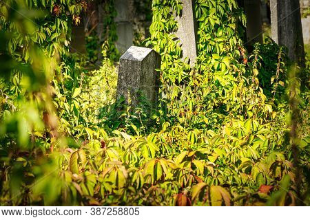 Jewish Cemetery, Historic Graves At Zentralfriedhof In Vienna