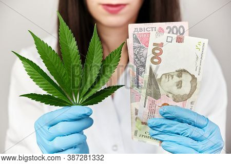 Cannabis Leaf And Ukrainian Hrivna Banknote In Woman Hands In Rubber Gloves And Medical Lab Coat. In