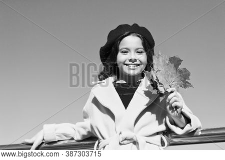 Ideas For Autumn Leisure. Little Girl Adore Autumn Season. Kid Hold Maple Leaves. Small Girl Wear Fa
