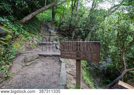 Hiking In The Great Smoky Mountains National Park. Trail Marker Along A Trail In The Smoky Mountains