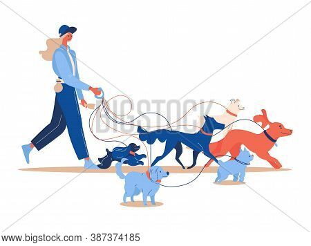 Woman Dogsitter With Various Dogs Walking. Isolated On White Characters Good For Pet Service And Car