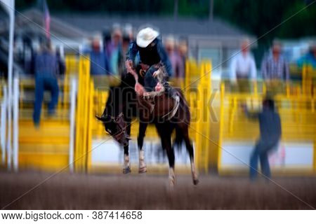 Cowboy riding bucking bronco at rodeo competition 8 seconds ride