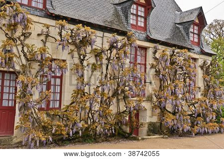 Zahradník House