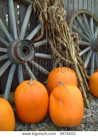 Cartwheelpumpkins
