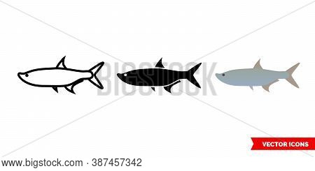 Tarpon Fish Icon Of 3 Types Color, Black And White, Outline. Isolated Vector Sign Symbol.