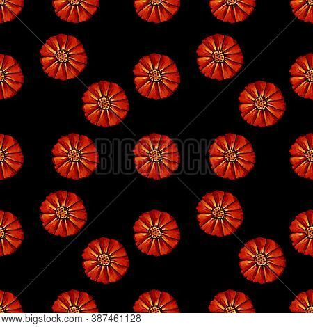 Seamless Pattern With Red Flowers On Black Background. Hadn Drawn Illustration.