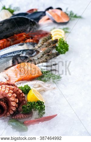 Side view of variety of fresh luxury seafood, Lobster salmon mackerel crayfish prawn octopus mussel and scallop, on ice background with icy smoke in seafood market.  Photo With Copy space.
