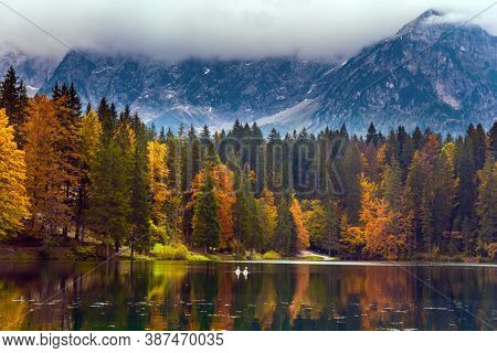 The Dolomites are covered with clouds. Orange and yellow trees are reflected in the green smooth water. Lake Fuzine in Northern Italy. Magnificent colors of autumn