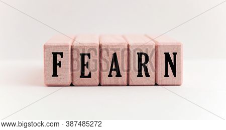 Concept Word Forming On Wooden Cube On White Background - Fearn
