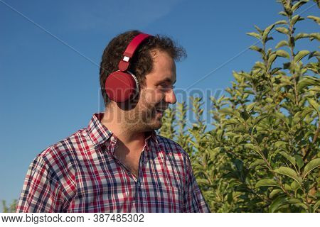 Young Boy In Plaid Shirt Listens To Music With Headphones While Picking Apples From A Plantation. Ag