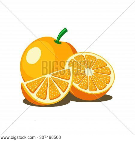 Orange Fruit Vector Isolated On White Background From Food Collection. Orange Vector Trendy And Mode