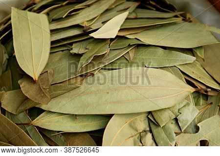 Dried Indian Bay Leaves With 3 Veins Running The Length Of The Leaf, Manama Souk, Bahrain