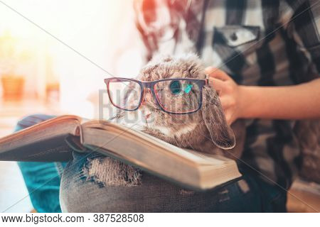 A Woman Is Holding A Lop-eared Rabbit With Glasses, Which Is Sitting On Her Laps With A Book. Concep