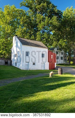 Shep Graze In A Peaceful, Idyllic Colonial Village Scene At Hopewell Furnace National Historic Site.