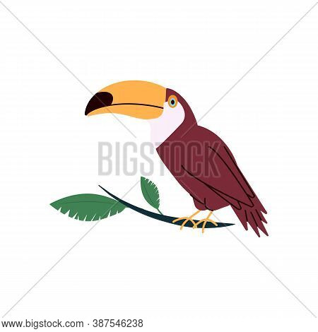Tropical Toucan Cartoon Character With Large Colourful Yellow Beak, Flat Vector Illustration Isolate