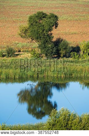 Summer Countryside Ladscape With Pivdennyi Buh River, Mykolaiv Region, Ukraine.