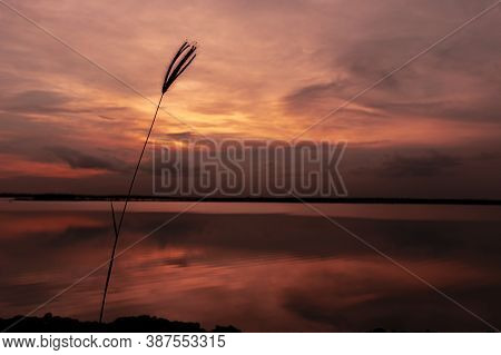 Sunset Over The Horizon Of A Lake With Shallow Depth Of Field