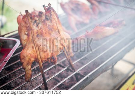 Hot Chickens Plugged With Bamboo, Thai Local Food And Traditional Food Thailand Your Can Buy Ever Si