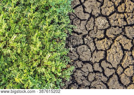 On One Half Of The Land Plot, Green Grass Grows Thickly. The Other Half Is A Lifeless, Cracked Soil 