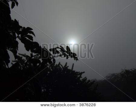 Nebel